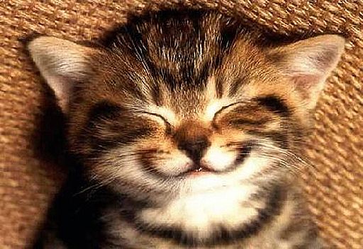 Name:  smile.jpg
Views: 7953
Size:  49.9 KB